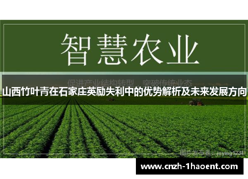 山西竹叶青在石家庄英励失利中的优势解析及未来发展方向