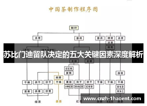 苏比门迪留队决定的五大关键因素深度解析