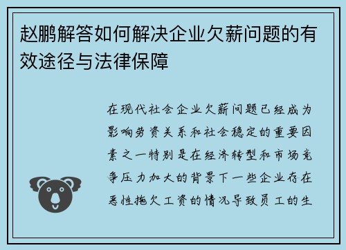 赵鹏解答如何解决企业欠薪问题的有效途径与法律保障