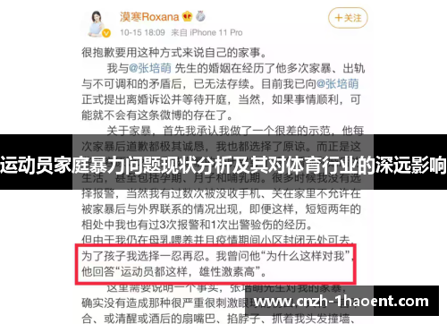 运动员家庭暴力问题现状分析及其对体育行业的深远影响