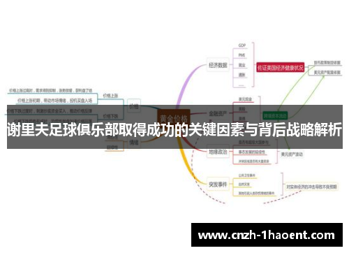 谢里夫足球俱乐部取得成功的关键因素与背后战略解析