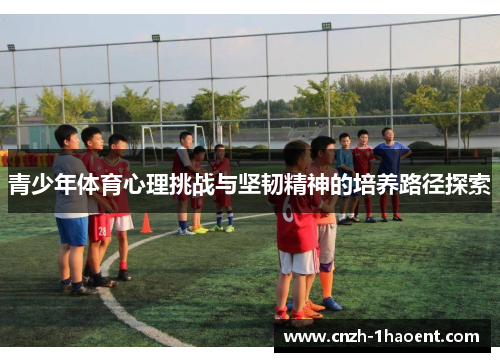 青少年体育心理挑战与坚韧精神的培养路径探索