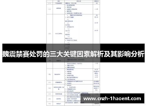 魏震禁赛处罚的三大关键因素解析及其影响分析