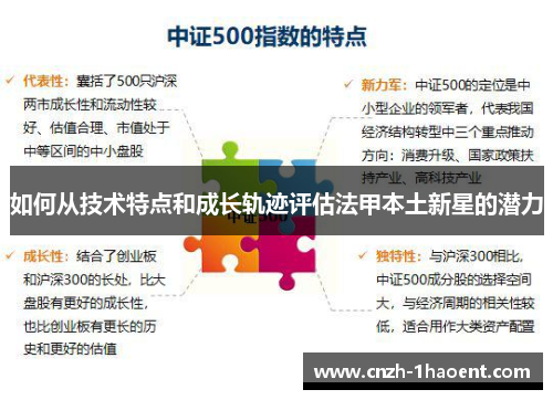 如何从技术特点和成长轨迹评估法甲本土新星的潜力