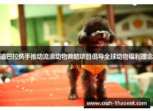 迪巴拉携手推动流浪动物救助项目倡导全球动物福利理念 迪巴拉携手推动流浪动物救助项目倡导全球动物福利理念