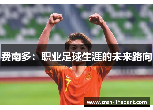 费南多：职业足球生涯的未来路向
