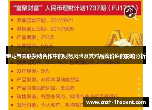 骁龙与曼联赞助合作中的财务风险及其对品牌价值的影响分析 骁龙与曼联赞助合作中的财务风险及其对品牌价值的影响分析